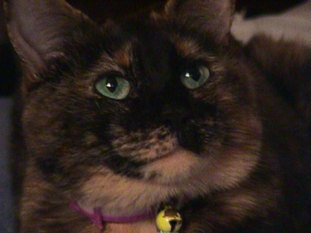 mvc-022f.jpg (37611 bytes)