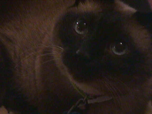 mvc-026f.jpg (29855 bytes)