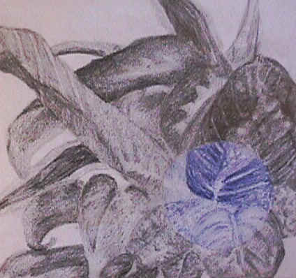 MVC-005F.JPG (46084 bytes)