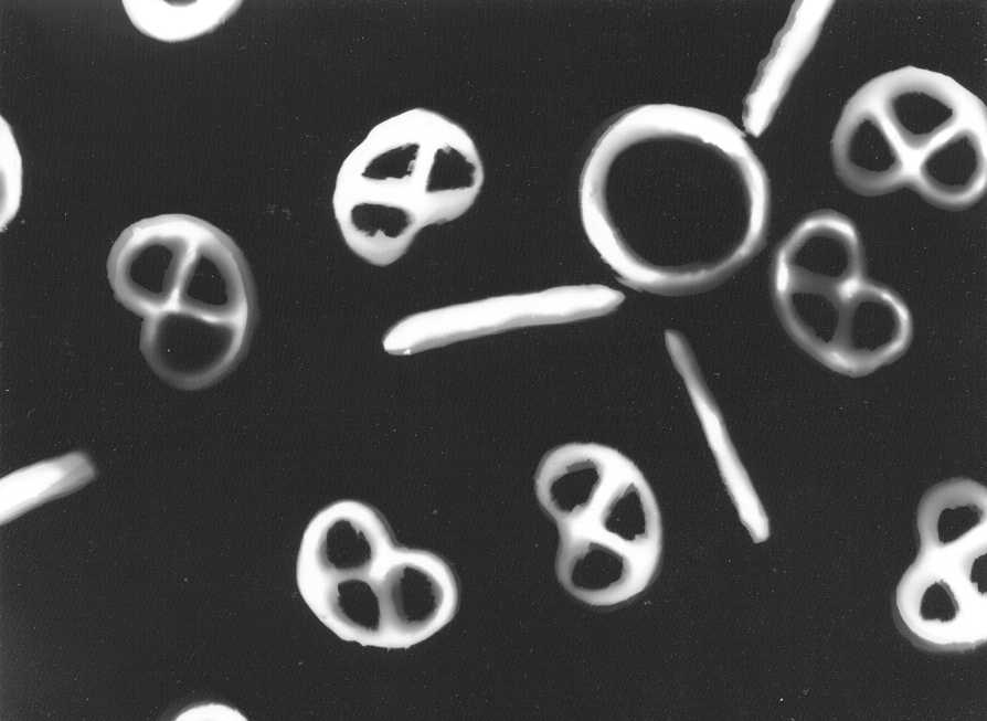 pretzles.bmp (623958 bytes)