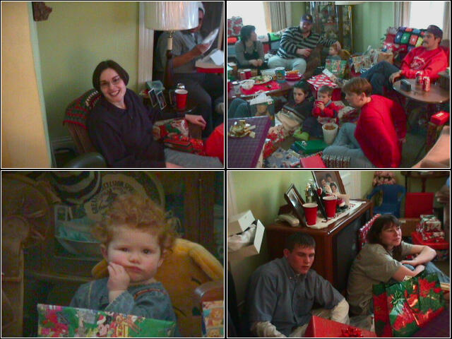 cpic002x.JPG (73287 bytes)