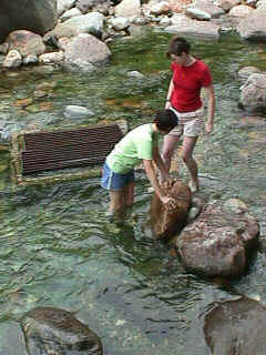 mvc-013f.jpg (59060 bytes)