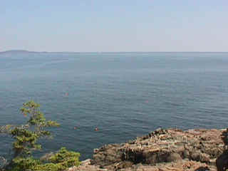 mvc-018f.jpg (45519 bytes)