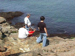 mvc-021f.jpg (71198 bytes)