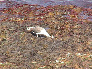 mvc-023f.jpg (103681 bytes)